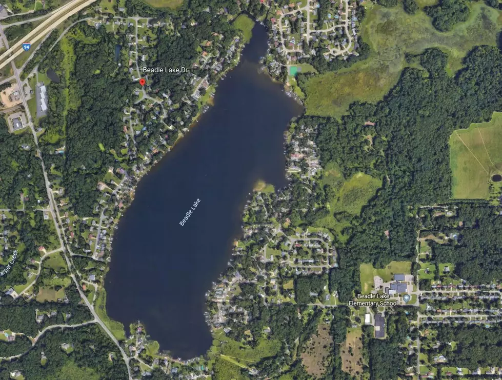UPDATE – Emmett Twp. Public Safety Called For Water Rescue On Beadle Lake
