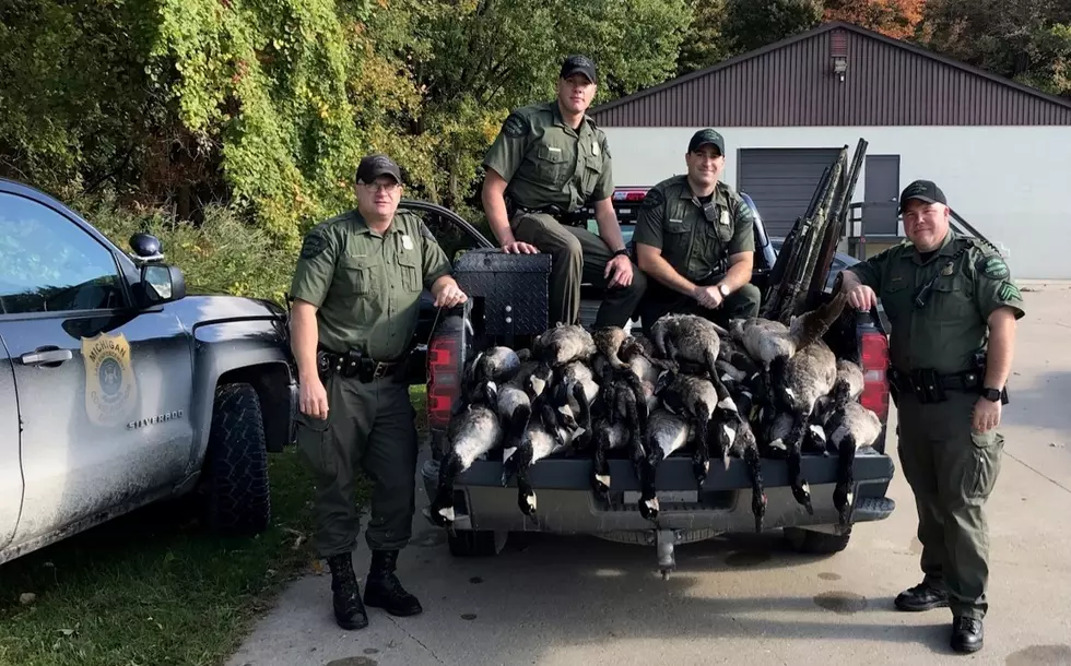 Eight Michigan Hunters Fined A Combined $18,500 For Poaching