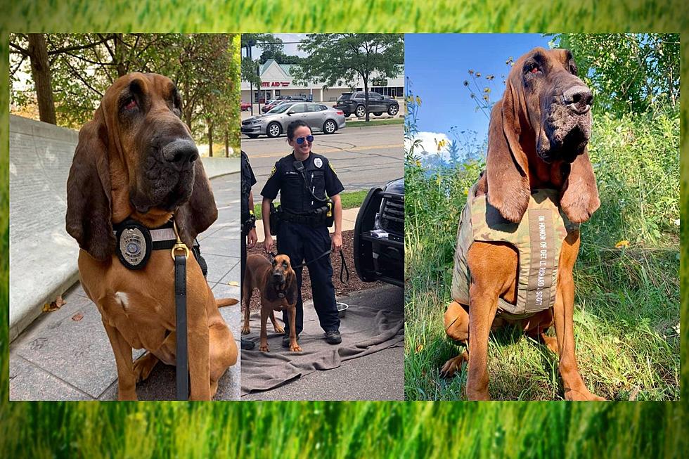 Free Story Time Event With Albion K-9 Lucy Jo & Officer Noppe
