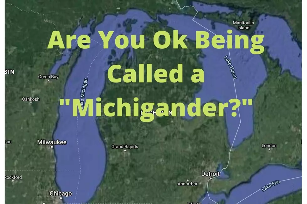 What State Nickname Do You Like For Residents of Michigan?