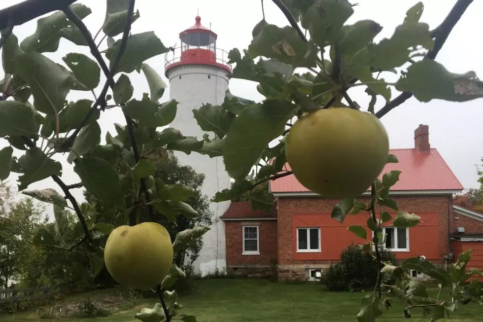 This Magnificent Michigan Lighthouse Property Could Be Yours