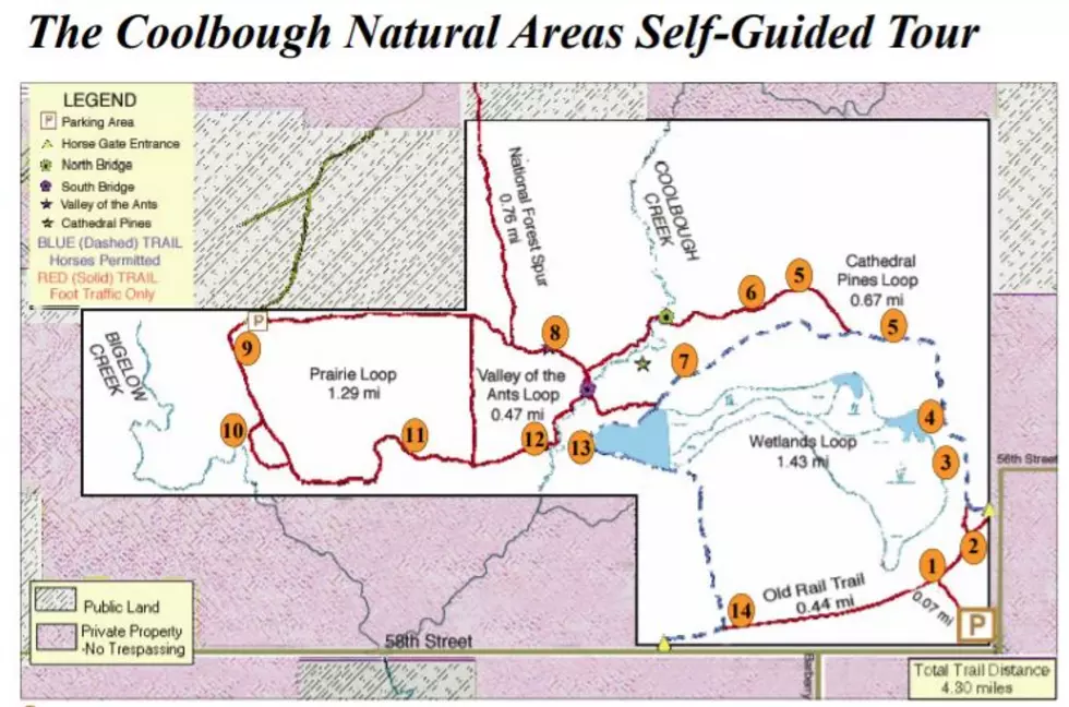Coolbaugh Nature Area: Another Hidden Michigan Gem from Ron Rademacher