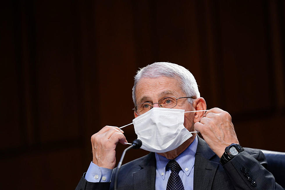 Federal Government Determines Covid Similar To Flu And Facemasks Are Ineffective