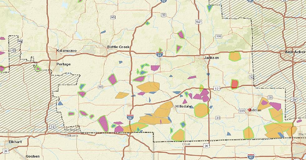 Storms Cut Power To Thousands In Calhoun and Kalamazoo Counties