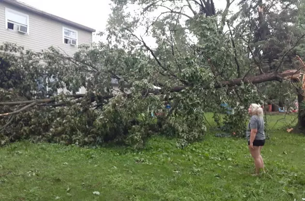 Photos Show Damage from Powerful Storms in St. Joseph County