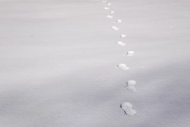 Footprints in Snow Lead Calhoun County Deputies to Burglary Suspect