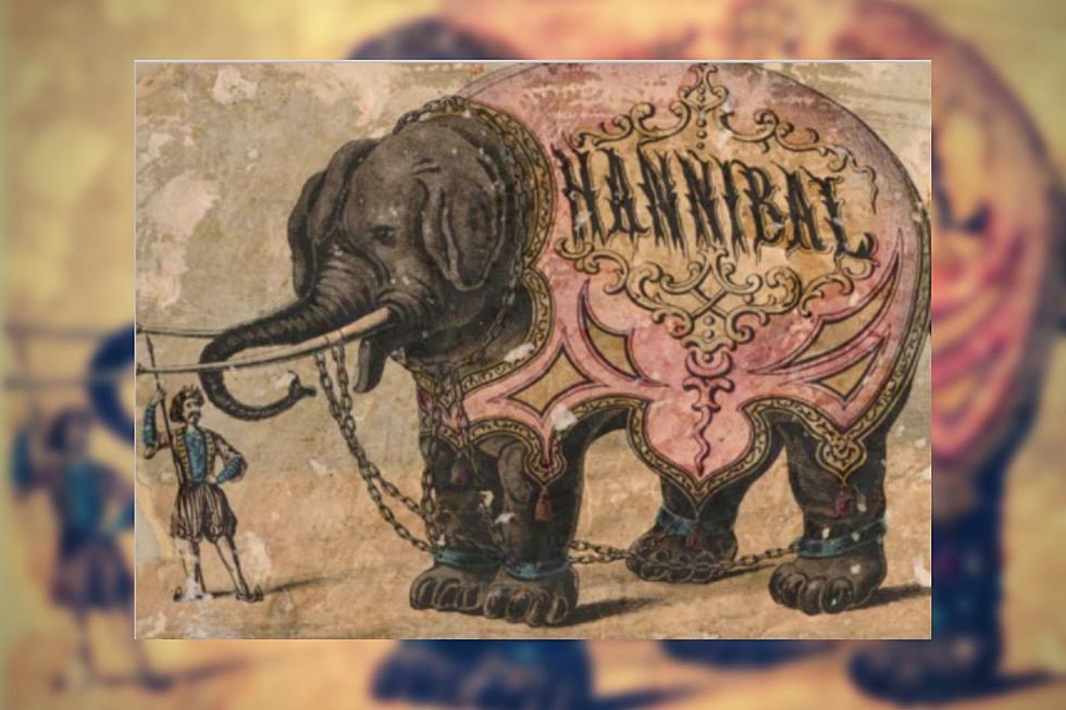 Hannibal the 15,000 Pound Elephant Visited Battle Creek & Broke a Bridge in the 1850s