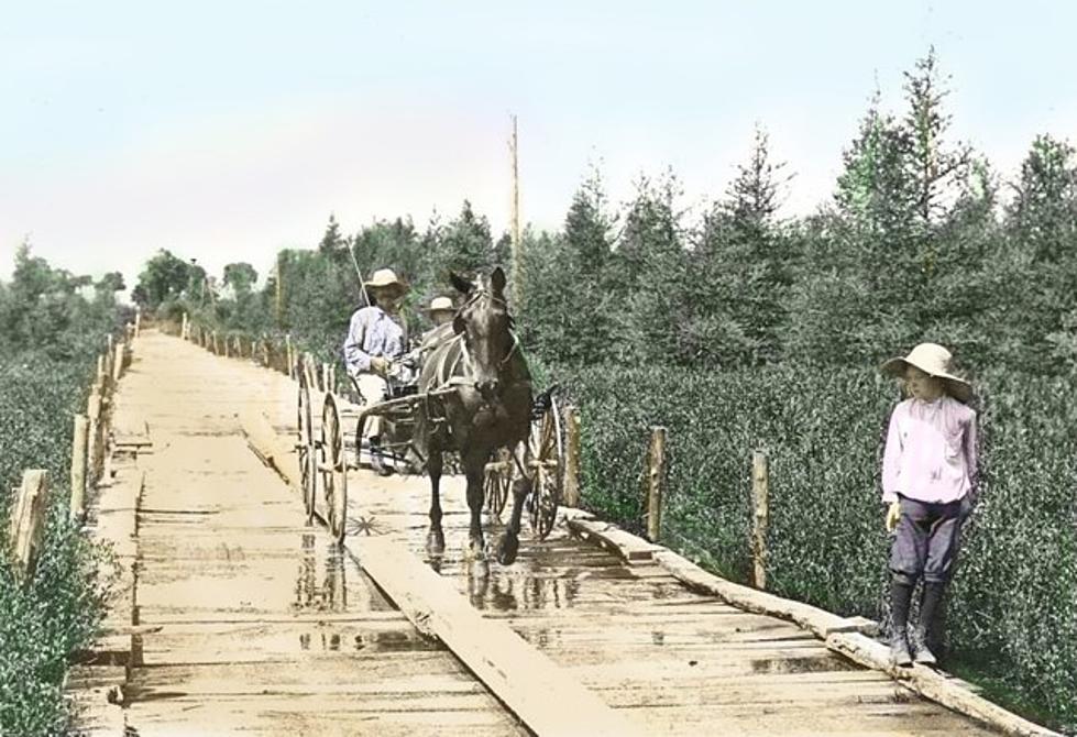 When Michigan Had Toll Roads: The Wooden Plank Roads of the 1800s