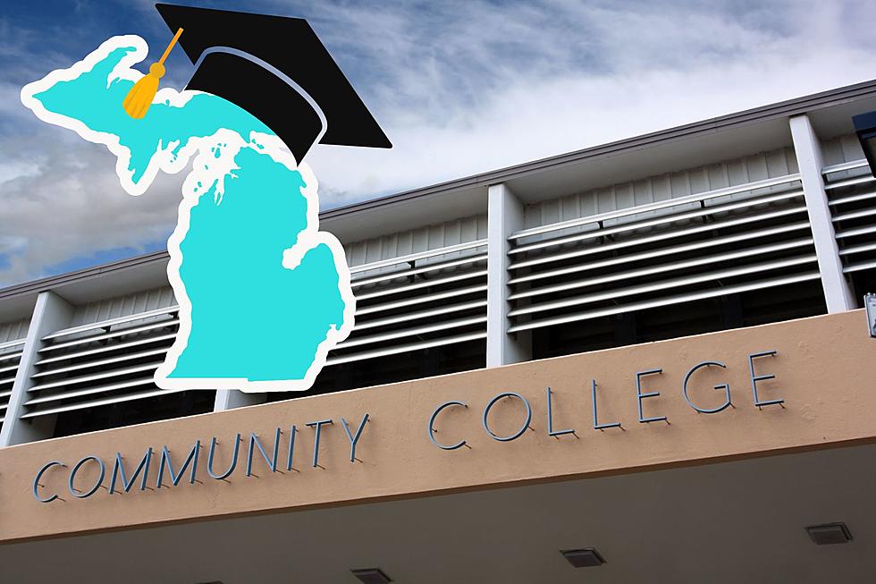 Where is the Best Community College in Michigan?