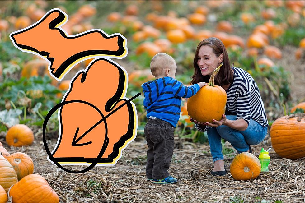 SW Michigan Just Might Be Home to the State's Best Pumpkin Patch