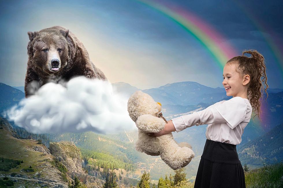 Michigan Zoo Donates Stuffed Bears In Remembrance of “Yogi” Bear