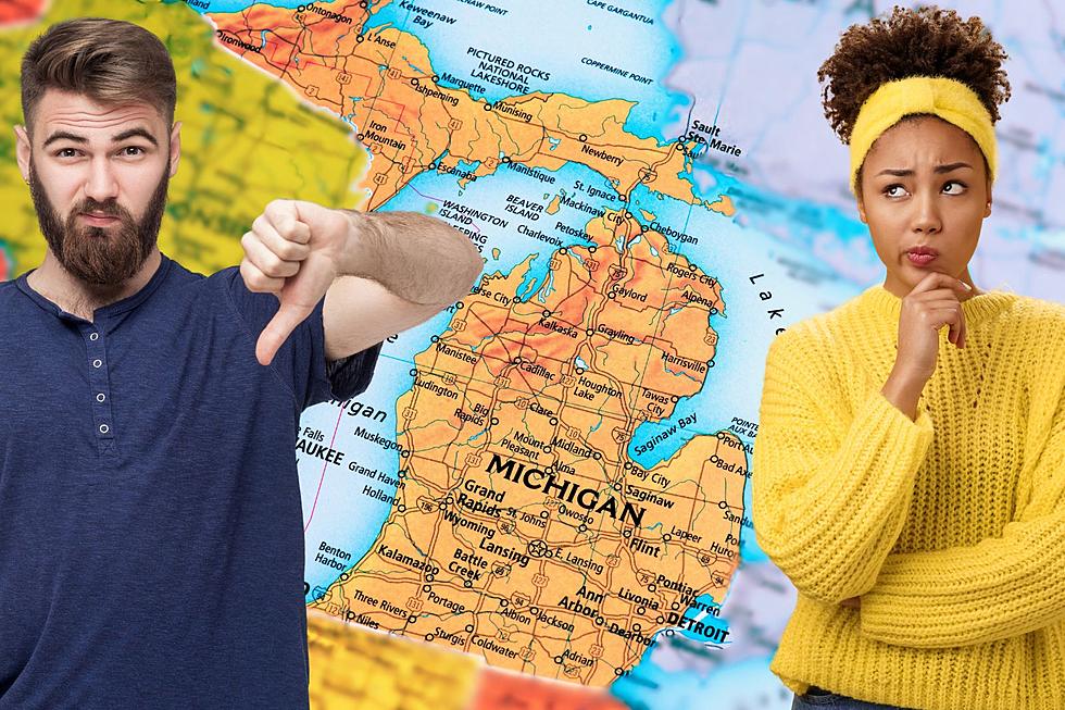 Moving to Michigan? Avoid These Popular Cities At All Costs