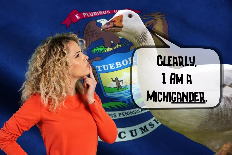 Legally, Are You A Michigander or a Michiganian?
