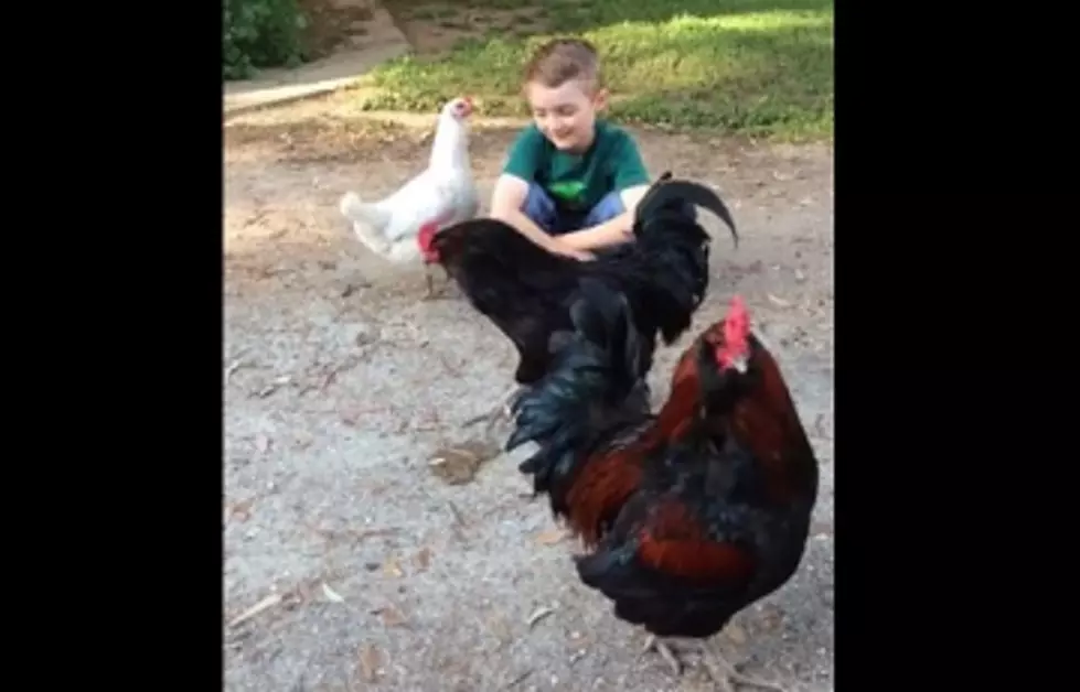 WATCH The Love Between A Boy And His Chicken