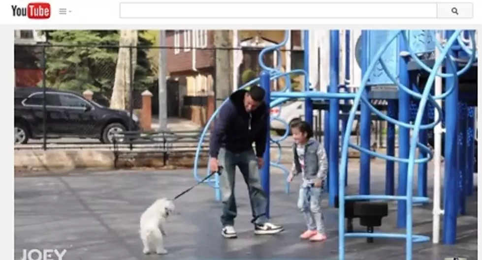WATCH This Man With A Dog ‘Abduct’ Children