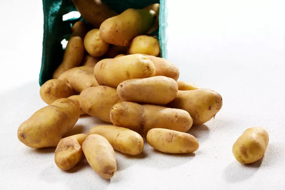 Potato Pests Affecting Idaho Potatoes