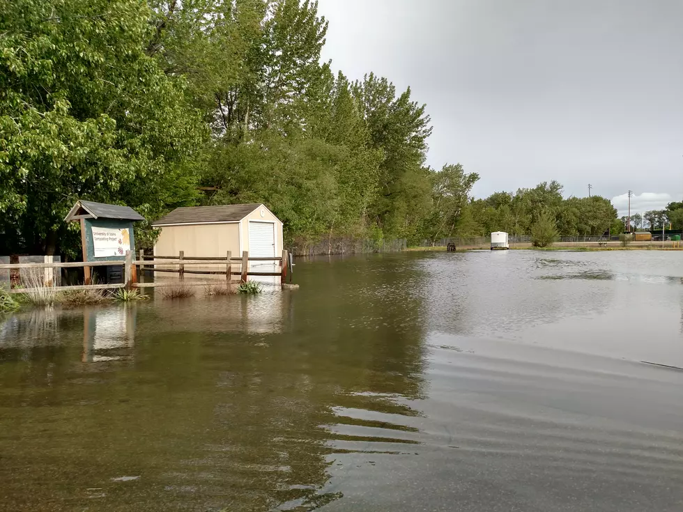 Evacuations Begin Due to Boise River Flood