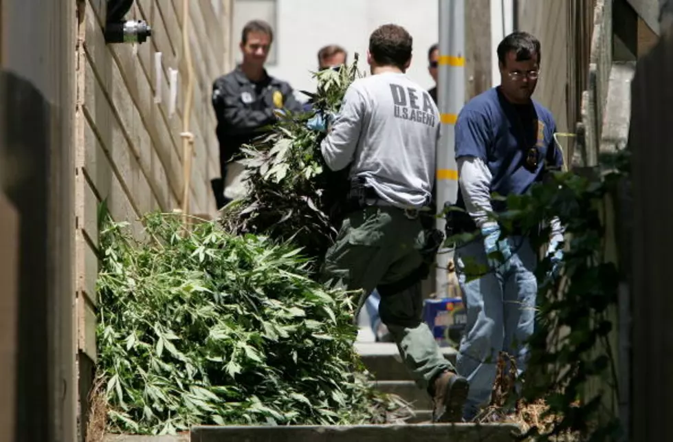 Elmore County Drug Bust Finds 215 Pounds of Pot