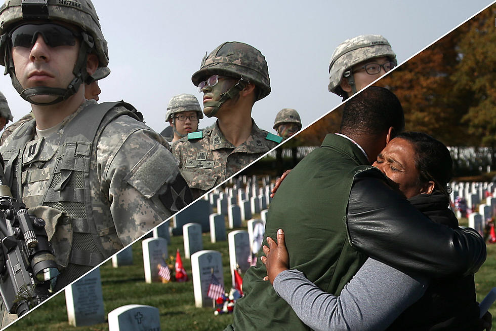 Veterans Day vs. Memorial Day