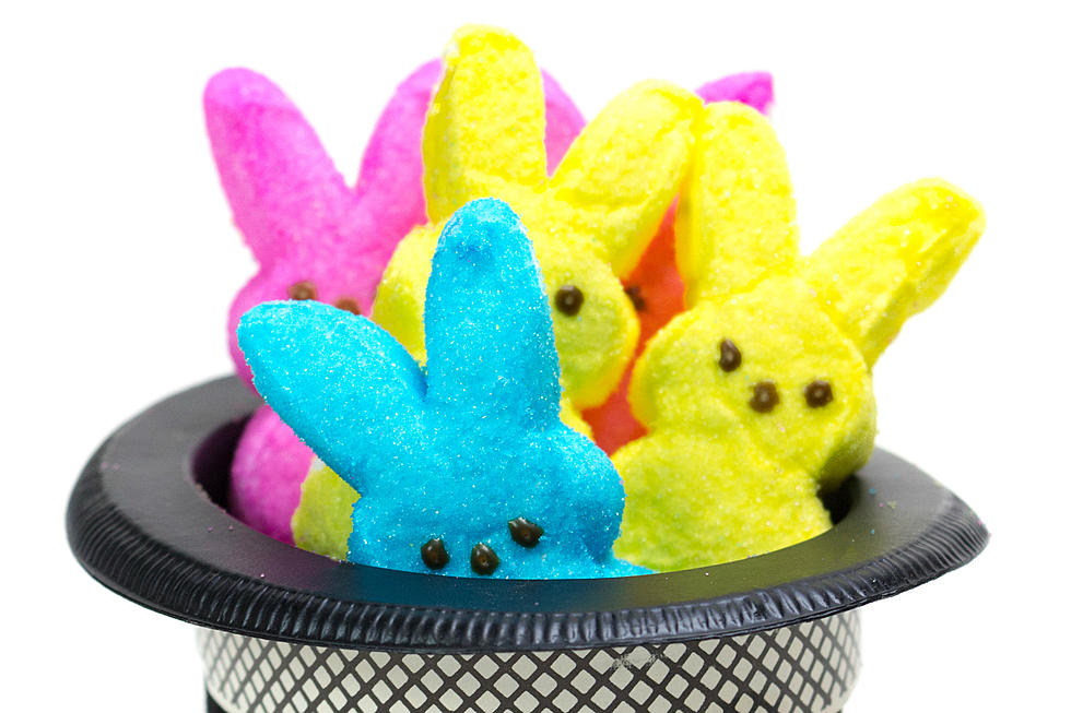 Marshmallow Peeps are Delicious and I Won&#8217;t Allow Anyone to Disagree