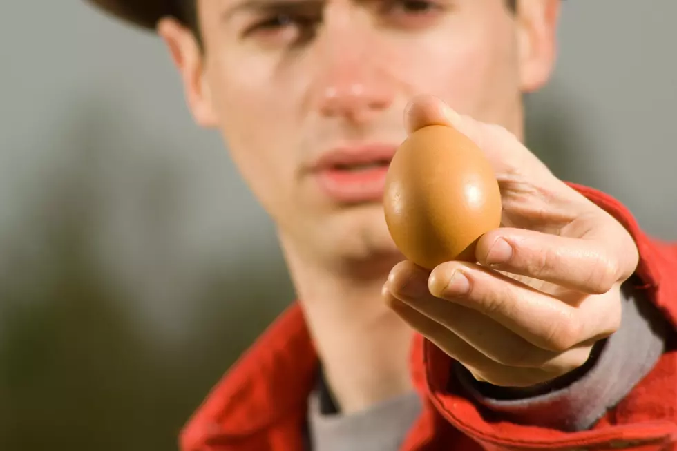 Egg-Smashing Criminal Arrested in Idaho for Disturbing the Peace