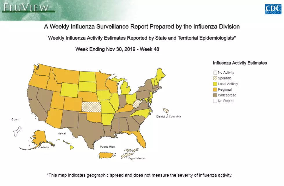 The CDC Has Idaho With Major Regional Flu Action, Share Your Remedies