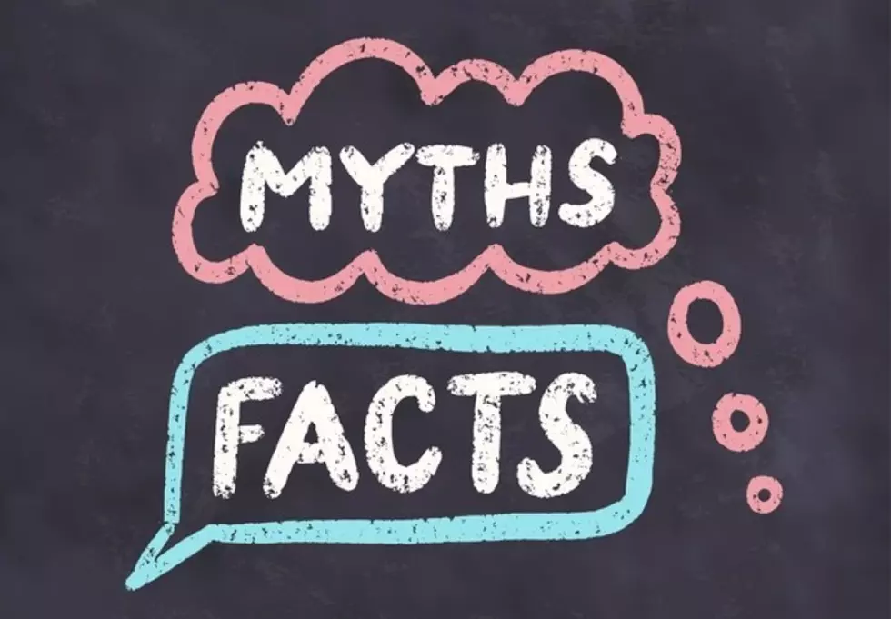 These Are Facts People Believe Are True… But They’re Actually Not