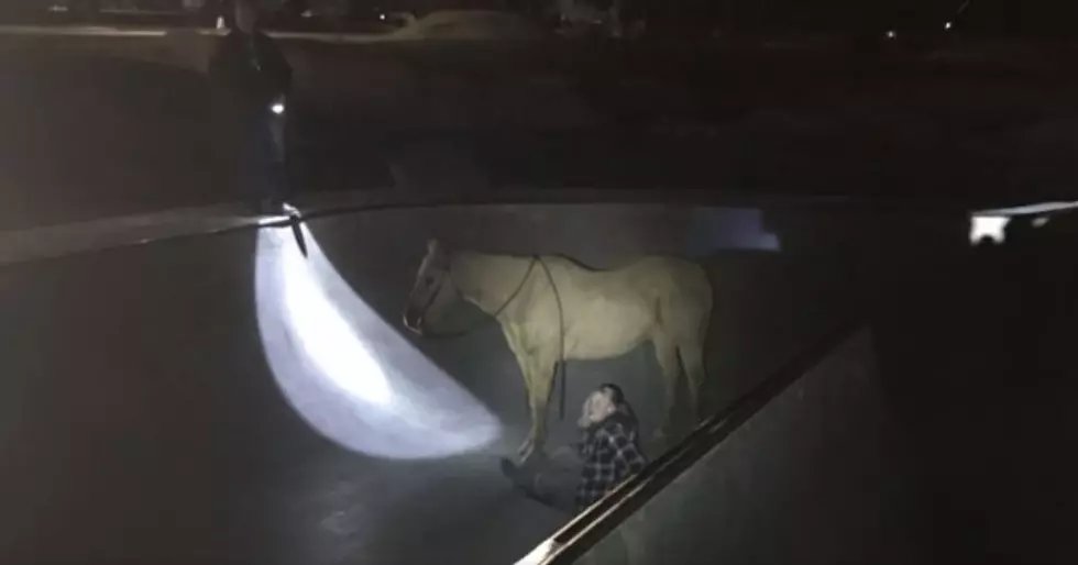 Horse Fell into Kuna Skate Park, Community Helped Rescue