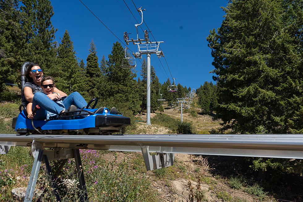 Beat the Heat at Bogus Basin this Summer with Music, Games, Fun and More