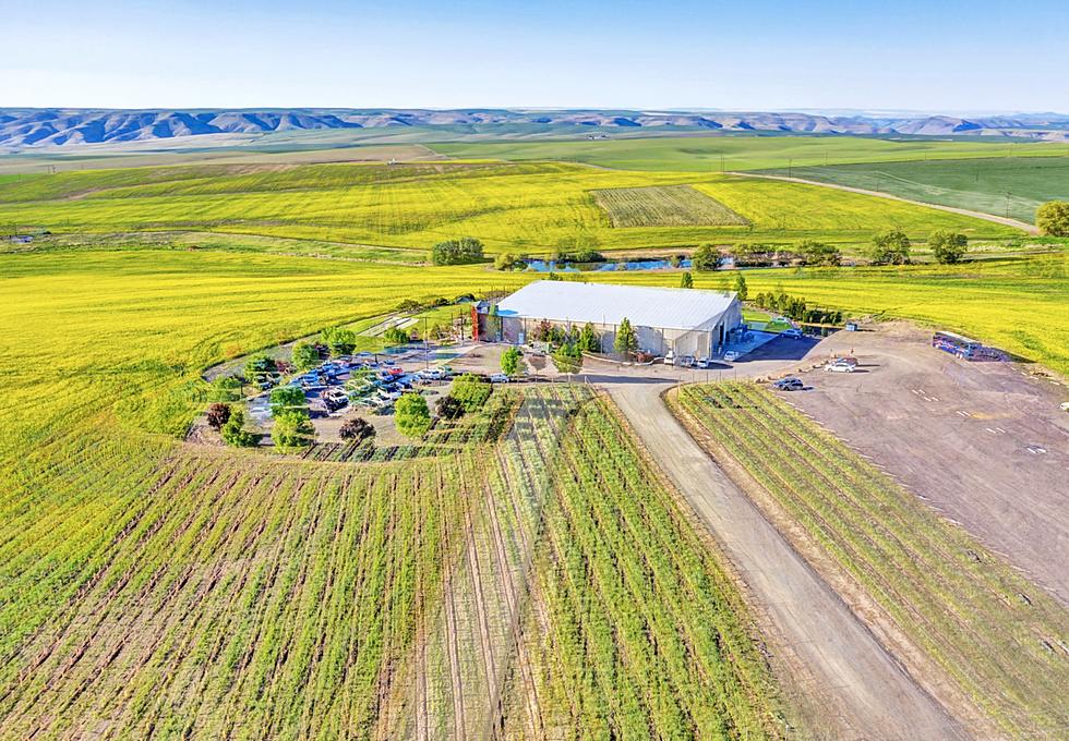This Beautiful Idaho Winery & Vineyard Costs Less Than Homes for Sale in Boise