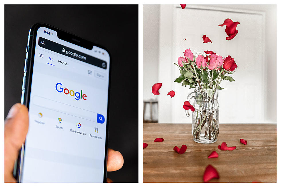 Is it Valentine's Day or Clear Your Search History Day?