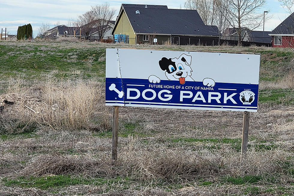 Idaho Dogs Need Parks Too, and There’s a New One Being Built in Nampa