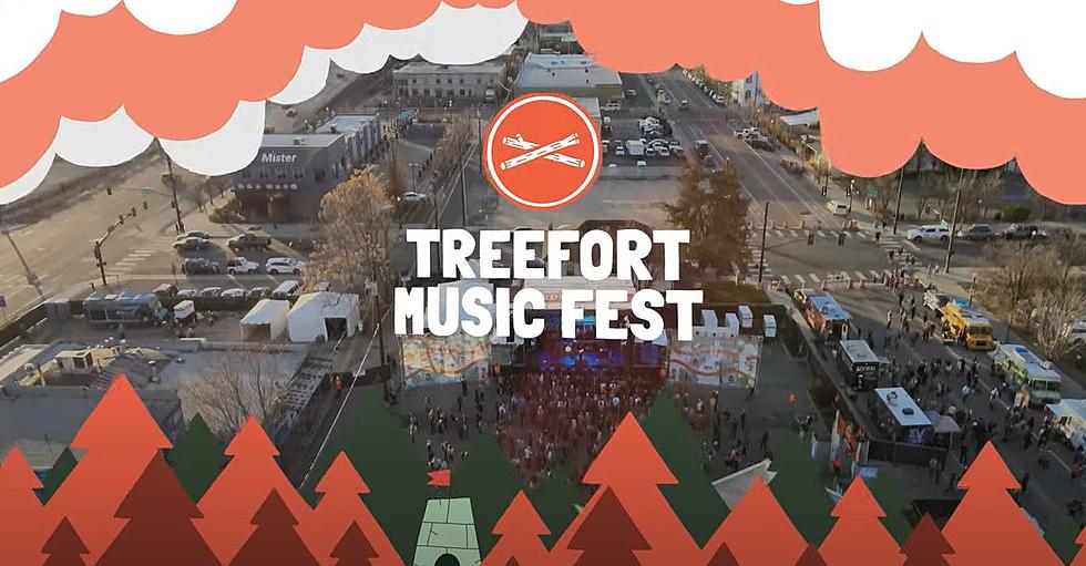 12 Ways To Enjoy Treefort In Boise For Free