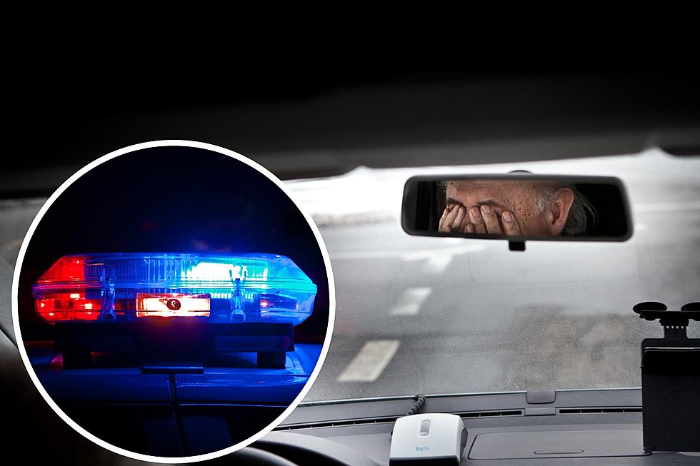 Is It Illegal To Honk At Police in Idaho?