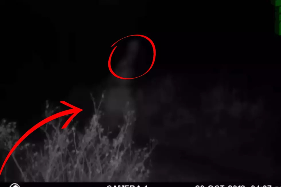 Idaho Trail Cam Footage Is Going Viral For Horrifying Reasons