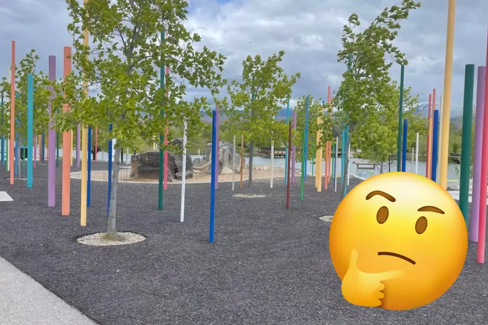 What Are These Poles At A Popular Boise Park Made For?