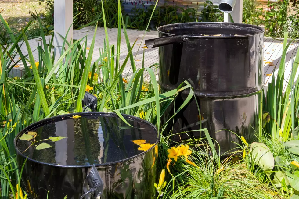 Is It Illegal For People To Collect Rainwater In Utah &#038; California?
