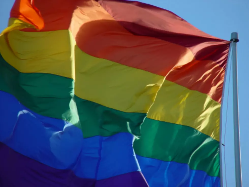 Gay Marriage Ban Struck Down In Idaho