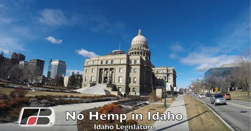 Idaho’s Hemp Agenda Revealed