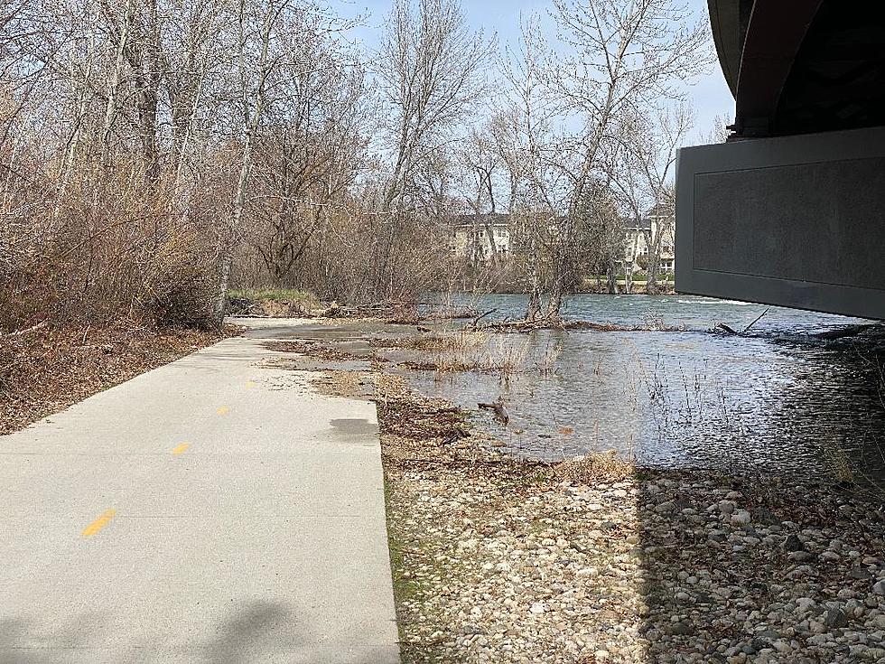 "Too Much Water Causes Boise Greenbelt Closures"
