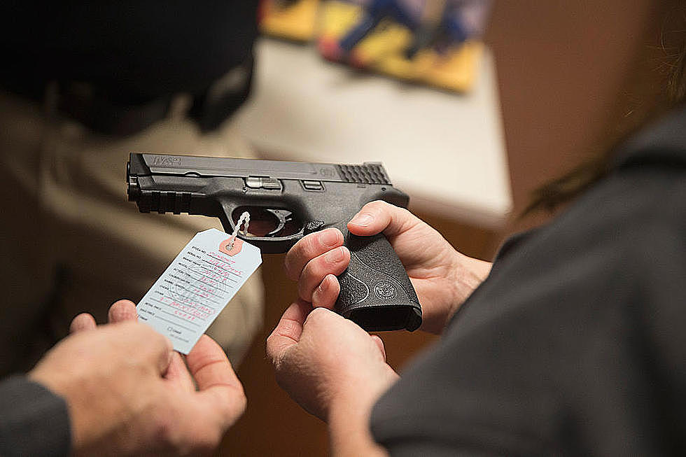 Idaho Climbs to Top 10 States for Having the Most Gun Purchases