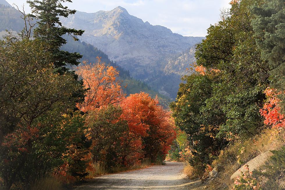 Are These 2 Beautiful Places in Utah on Your Fall Bucket List?