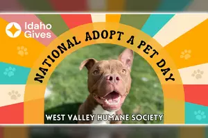 National Adopt a Shelter Pet Day with West Valley Humane Society