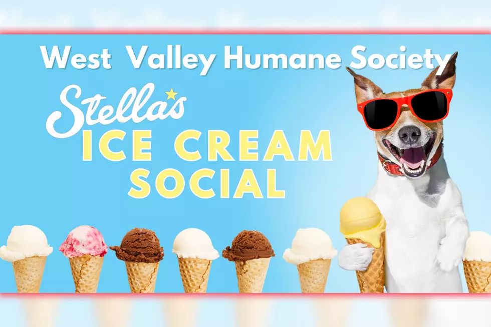 Stella's Ice Cream in Caldwell and WVHS Team Up for Idaho Gives!