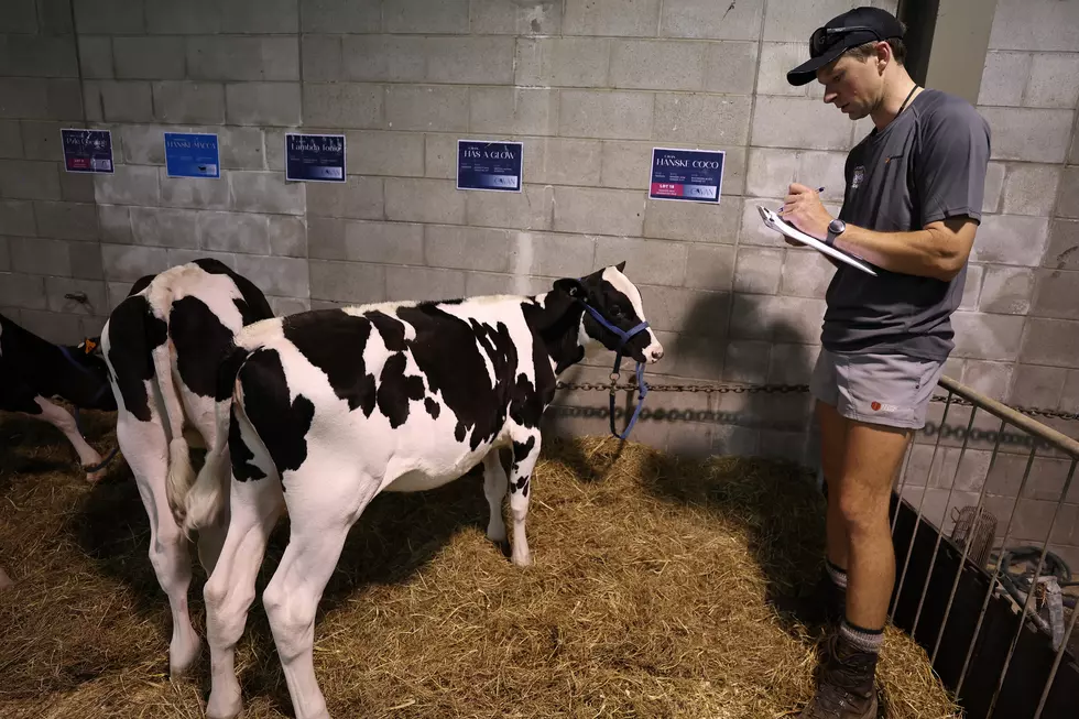 Idaho’s Farming Roots Face Challenges Amid Urban Growth