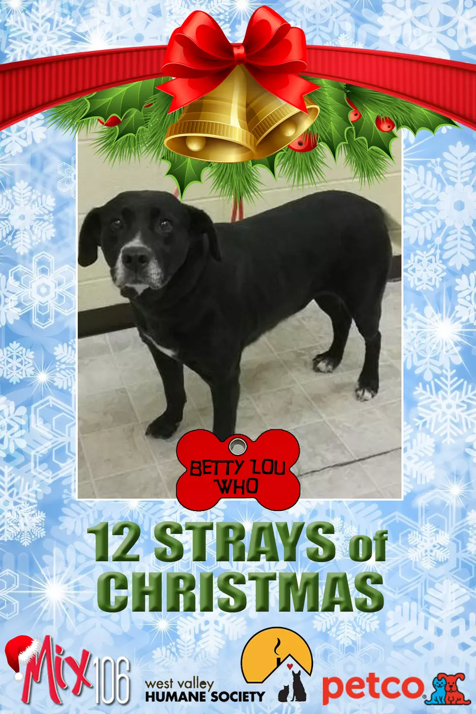 #9 of The 12 Strays of Christmas – Betty Lou Who