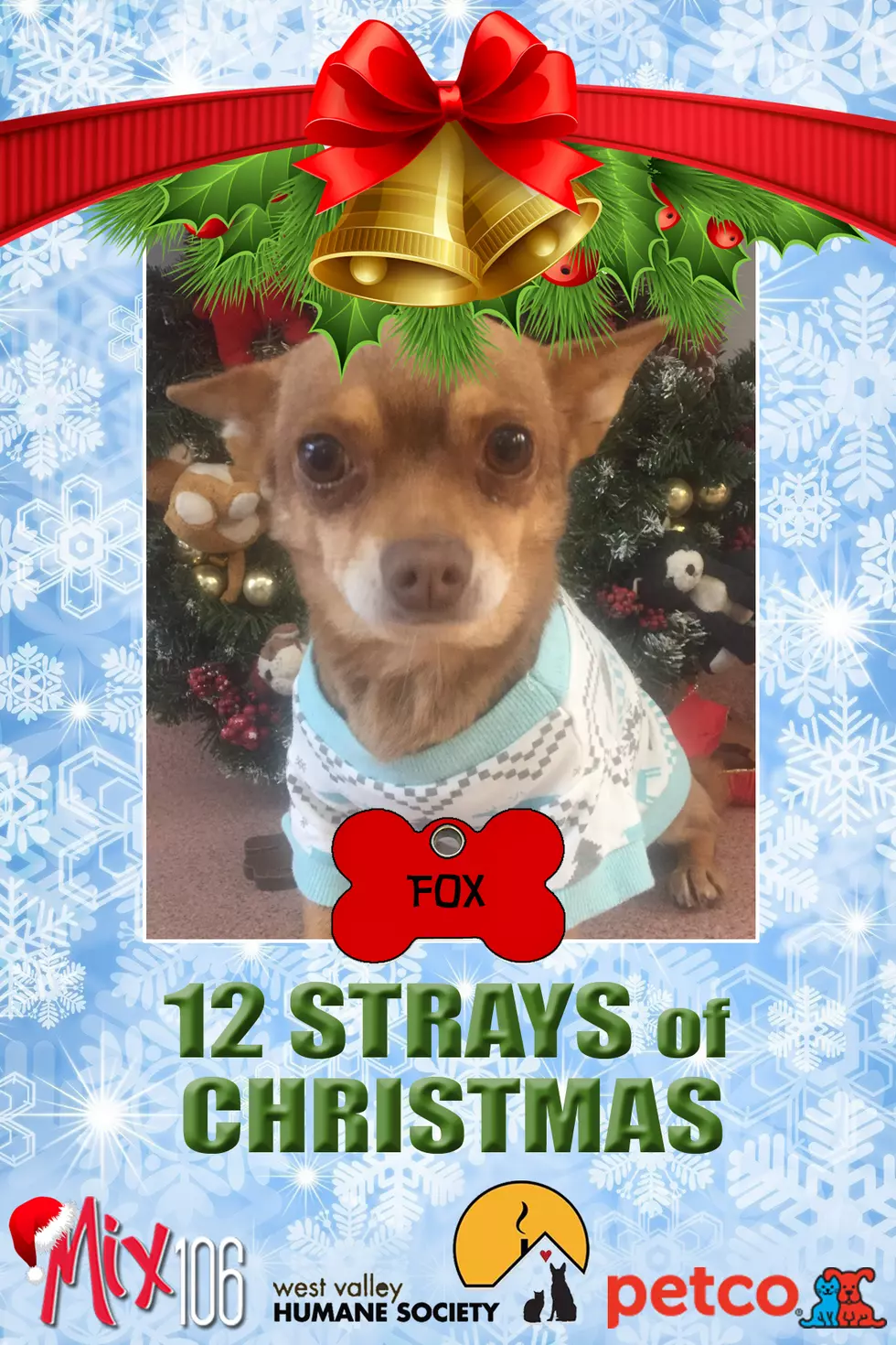 #11 of The 12 Strays of Christmas – Fox