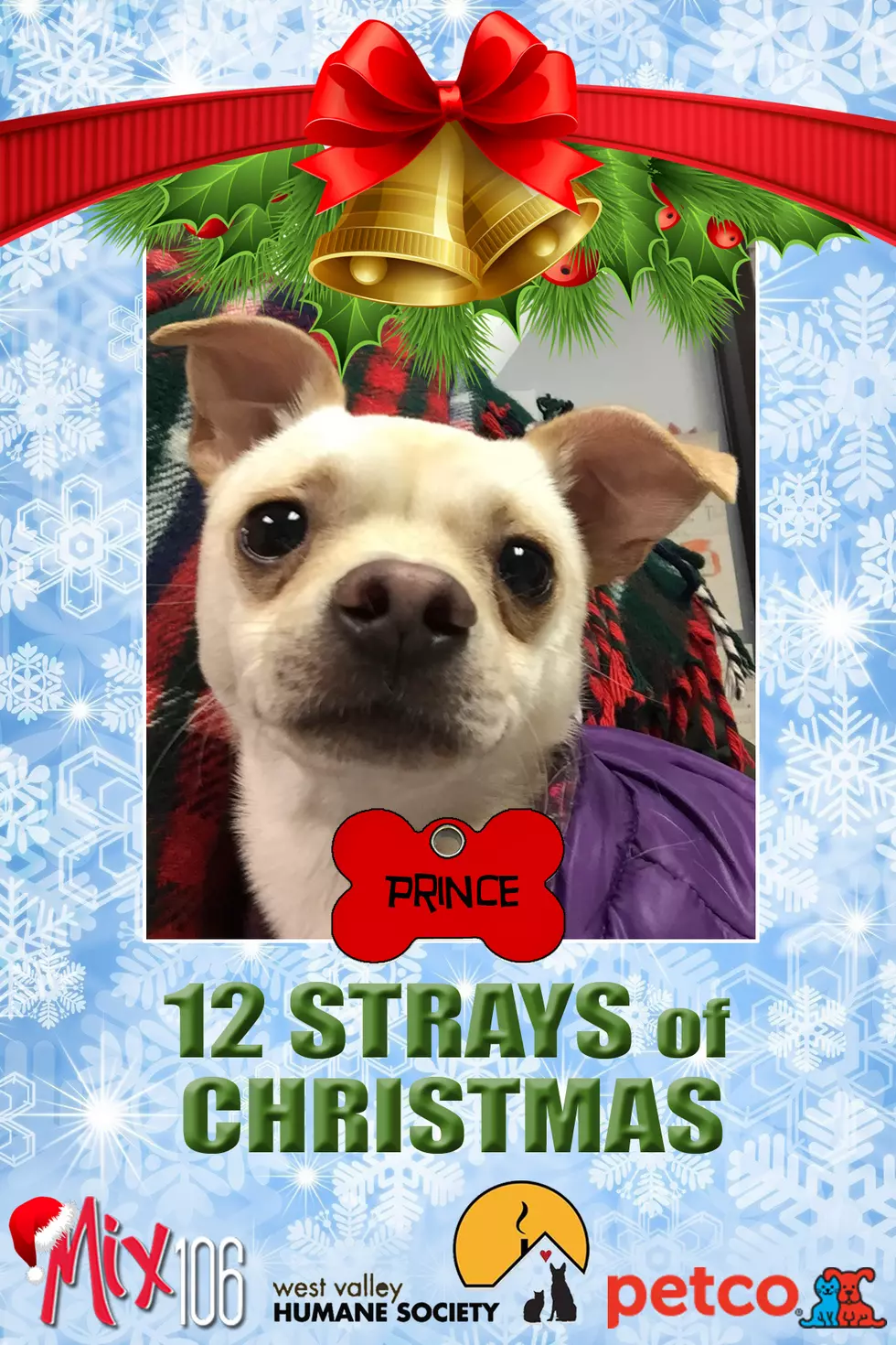 #12 of The 12 Strays of Christmas – Prince