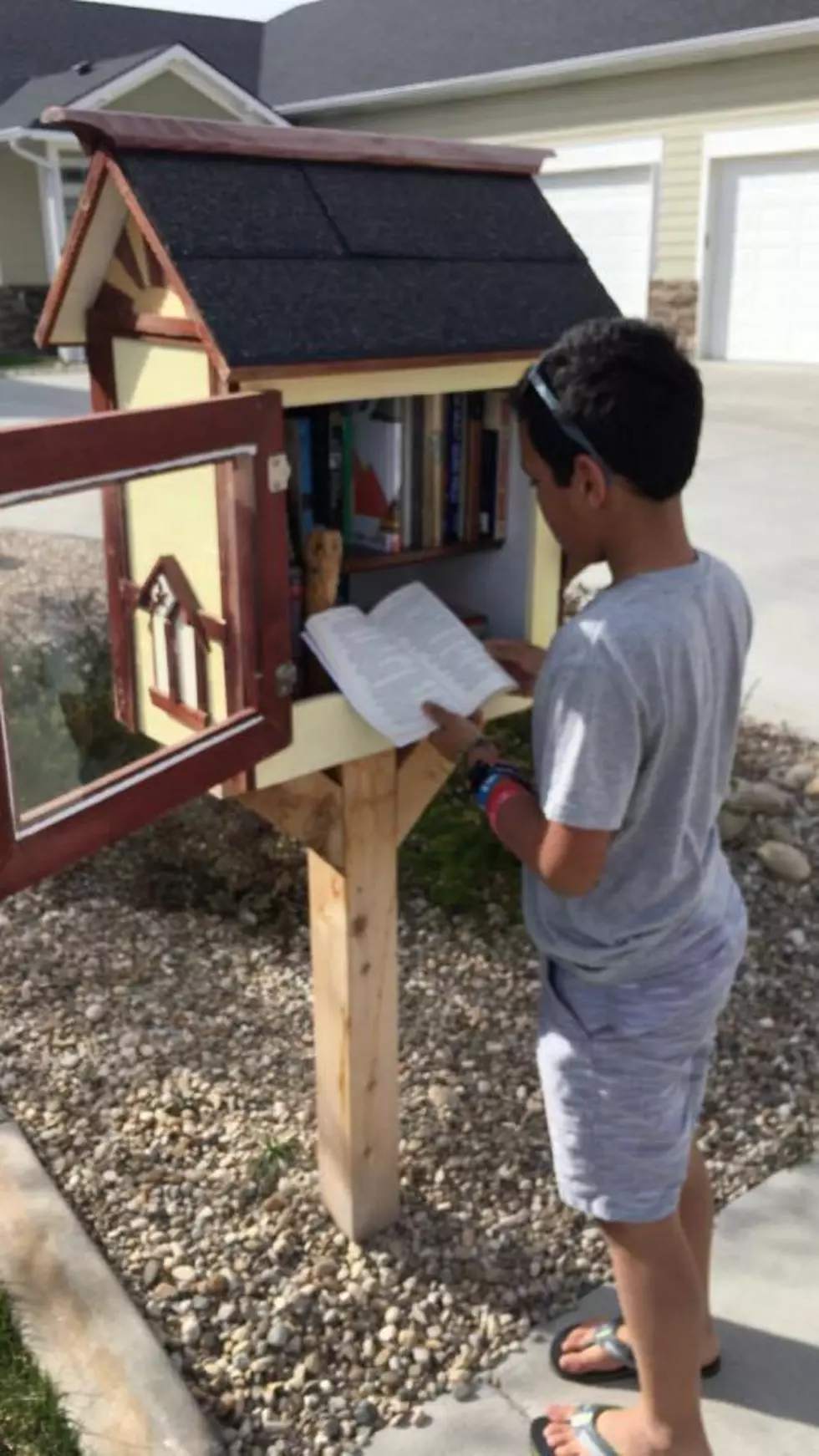 Tiny Library Raises Awareness of Mental Health Issues in the Treasure Valley