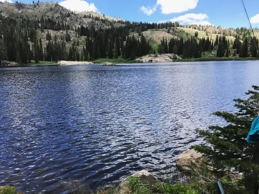 Idaho Town is One of the Most Searched Travel Destinations for Summer 2021